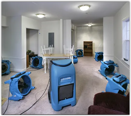 Drying & Dehumidification in Pico Rivera, CA