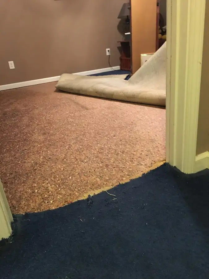 Carpet pad removal revealing water damage during Drying & Dehumidification in Pico Rivera