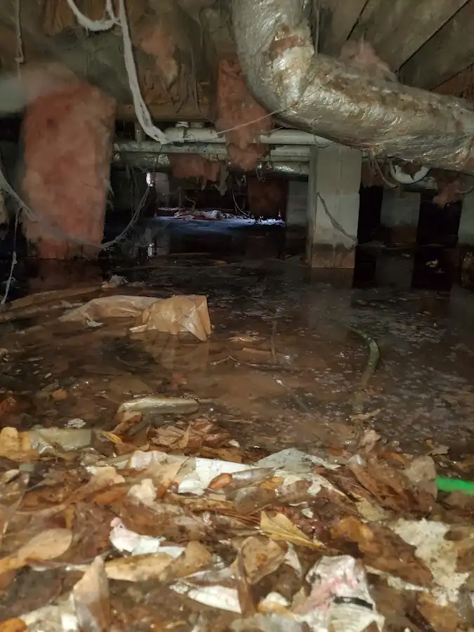 Crawl space flood assessment for Leak Detection & Repair in Pico Rivera